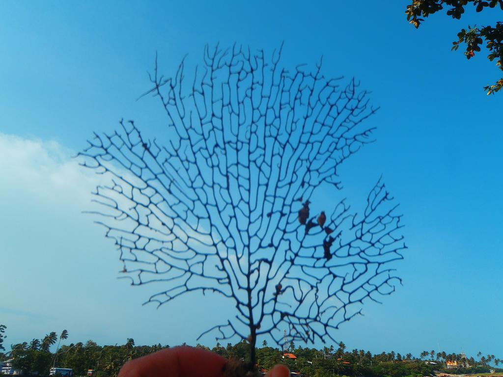 Natural Holiday Inn Tangalle Exterior foto